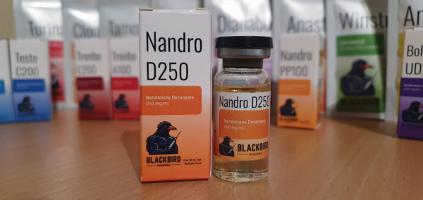 A product display of Nandro D250 (Nandrolone Decanoate 250 mg/ml) on a wooden tabletop.