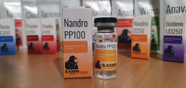 A product display of Nandro PP100 (Nandrolone Phenylpropionate 100 mg/ml) on a wooden tabletop.