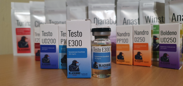 A product display of Testo E300 (Testosterone Enanthate 300 mg/ml) on a wooden tabletop.