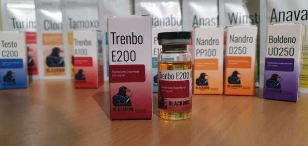 A product display of Trenbo E200 (Trenbolone Enanthate 200 mg/ml) on a wooden tabletop.